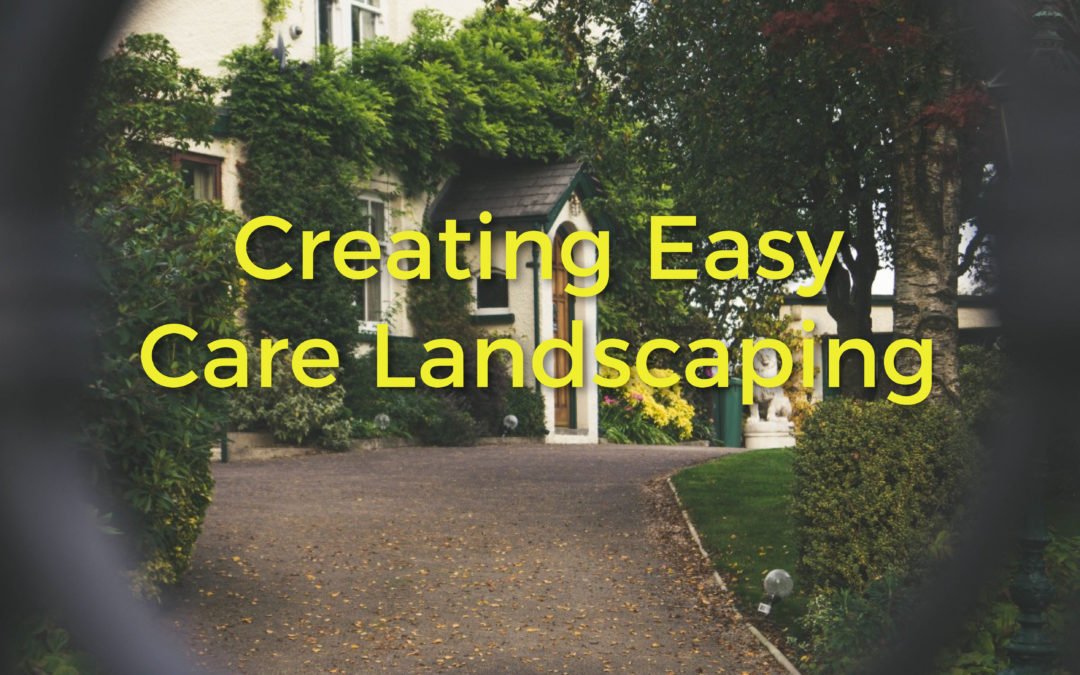 Creating Easy Care Landscaping