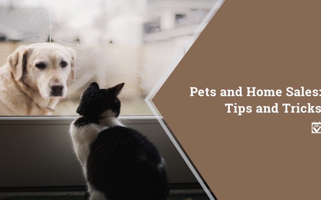 Pets and Home Sales: Tips and Tricks