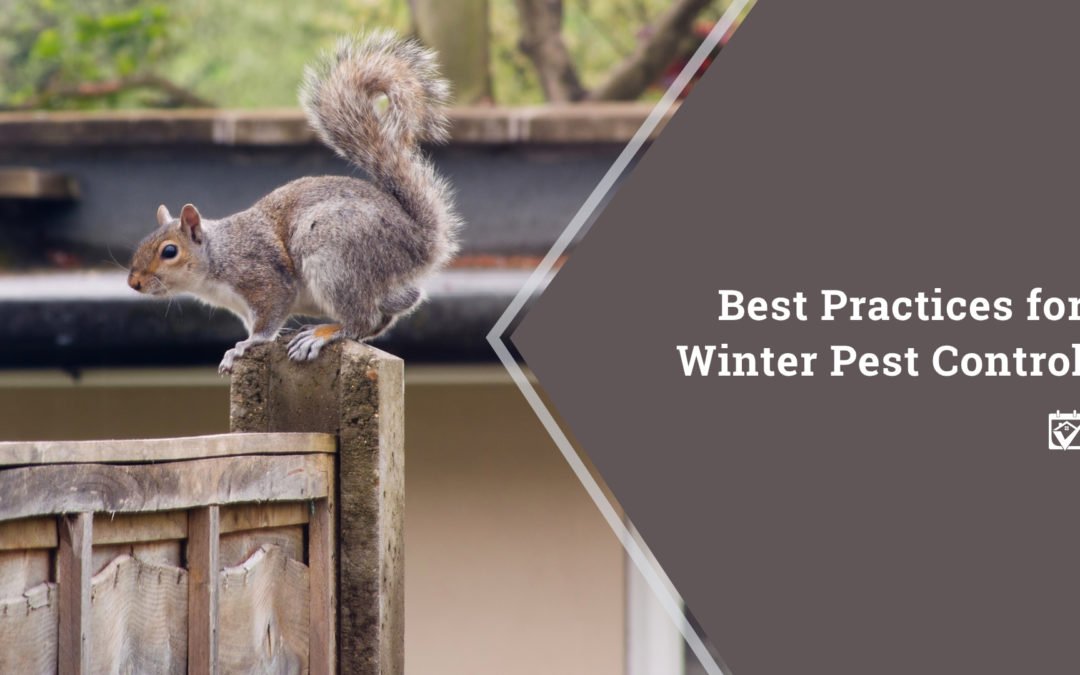 Best Practices for Winter Pest Control