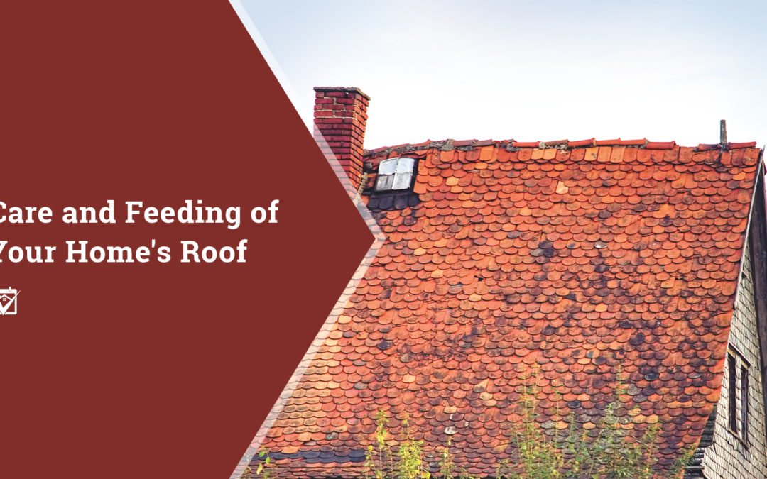 Care and Feeding of Your Home’s Roof