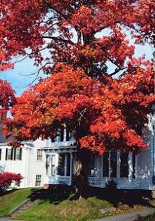 Pricing Your Home Right: Art or Science?