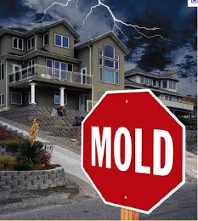 December19: 10 Ways to Prevent Costly Mold Damage to Your Home
